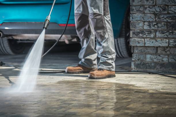 Best Vinyl Siding Pressure Washing in Winchester, IL