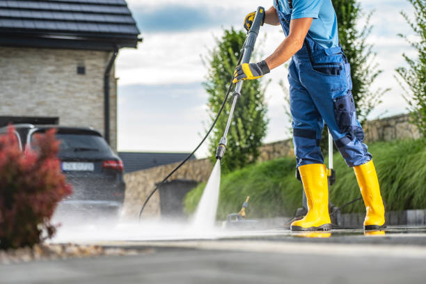 Best Driveway Cleaning and Restoration in Winchester, IL